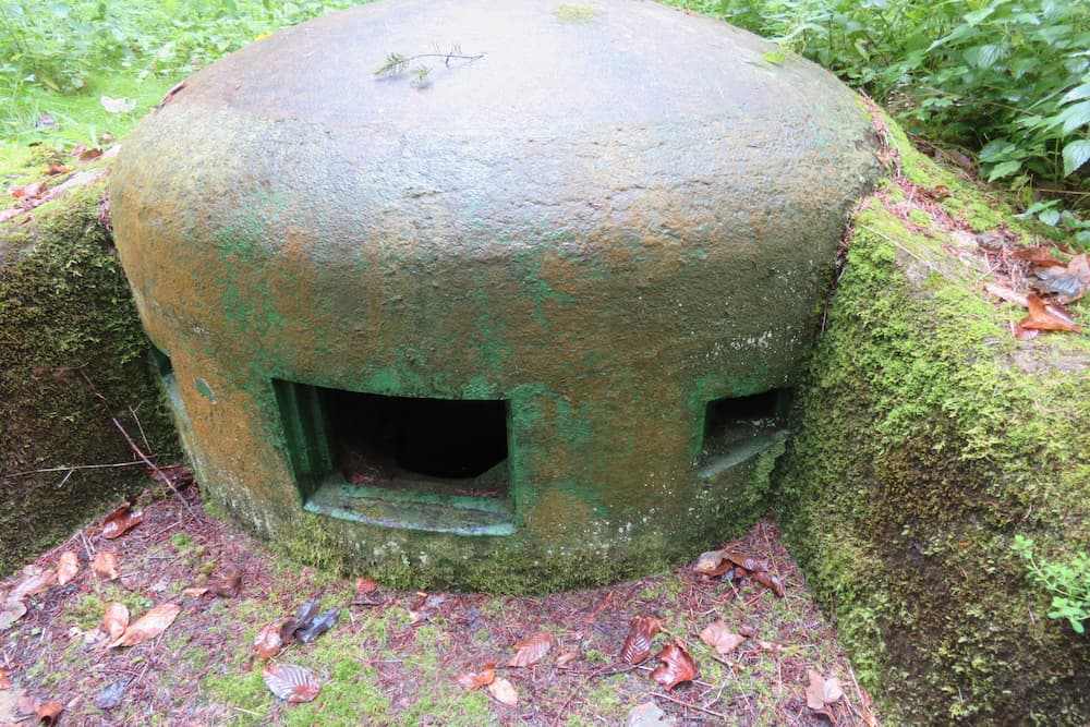 Maginot Line - Casemate East Wineckerthal #3