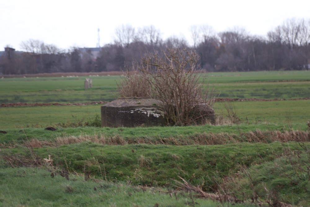Fliegerhorst Bergen - Ringstand Tobruk Bunker (C28)