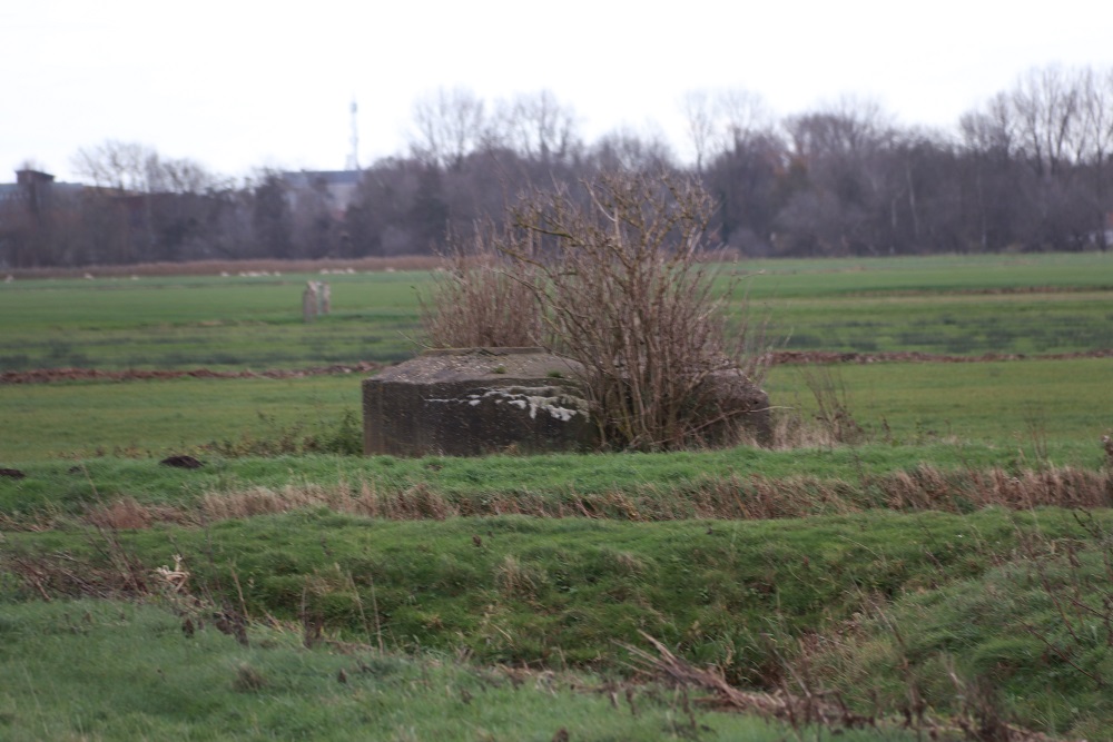 Flugfeld Bergen - Ringstand Tobruk Bunker #1