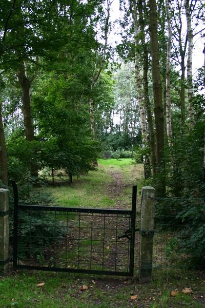 Memorial Jewish Cemetery Zuidbroek #4