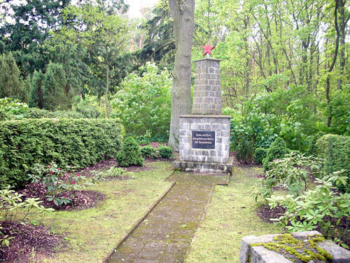 Soviet War Graves Briesen (Mark) #1