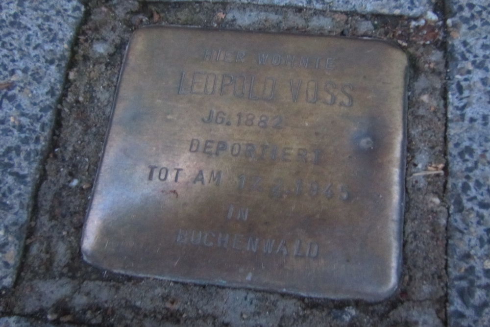 Stolperstein Alarichstrae 5 #1