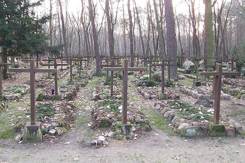 Graven Poolse Oorlogsveteranen Begraafplaats Laski #1