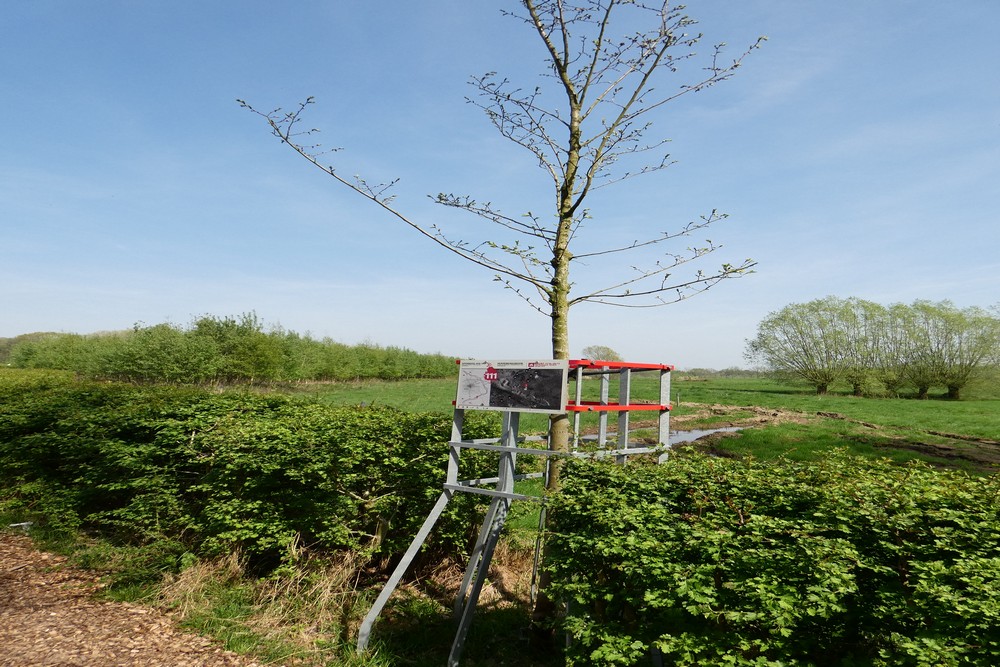 Memorial Trees Frontline Zillebeke #3