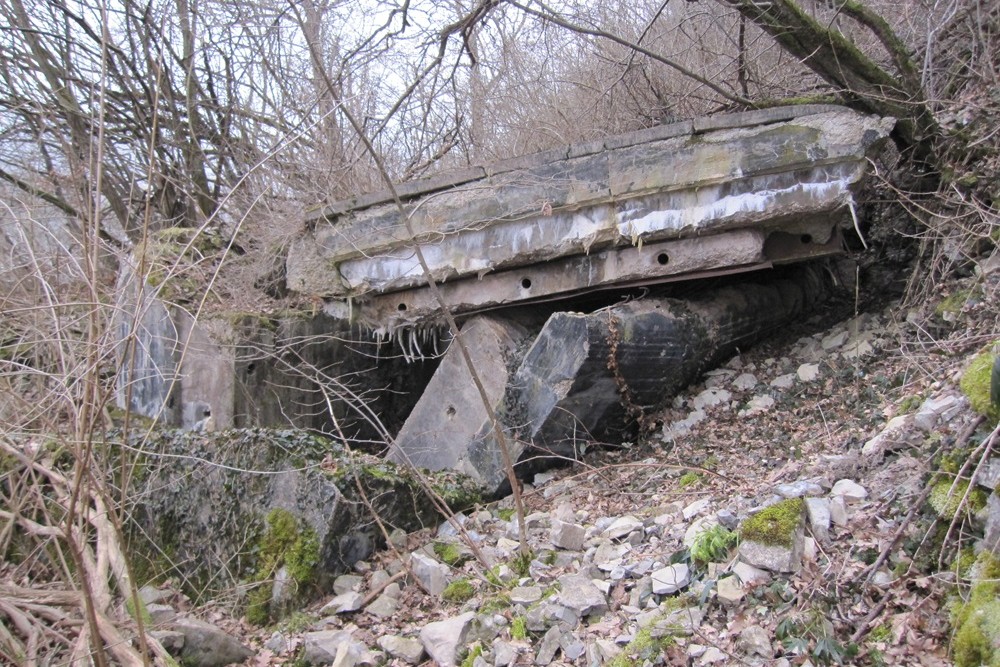 Neckar-Enz-Stellung - Panzerwerk 102