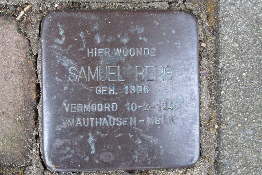 Stolpersteine Steijnstraat 24 #3
