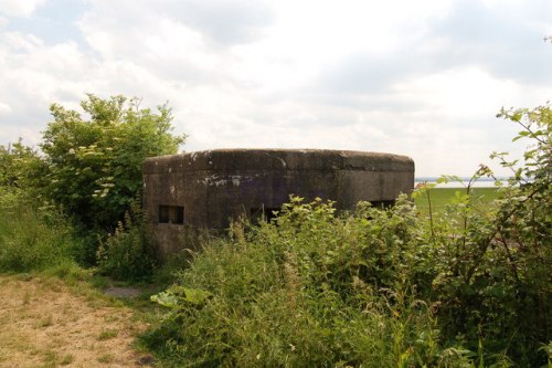 Pillbox FW3/27 Lydney