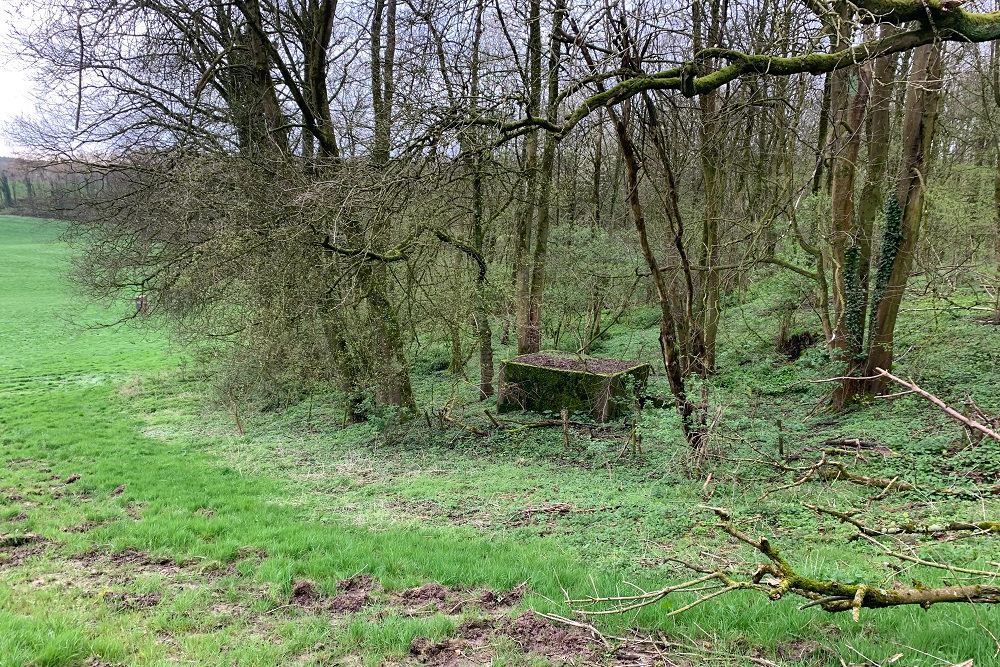 Bunker C - Position Avancée Beusdael #1