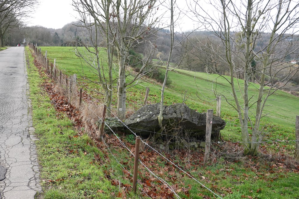 Westwall - Remains Bunker #4