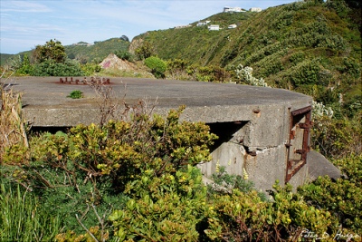 Fort Dorset #2