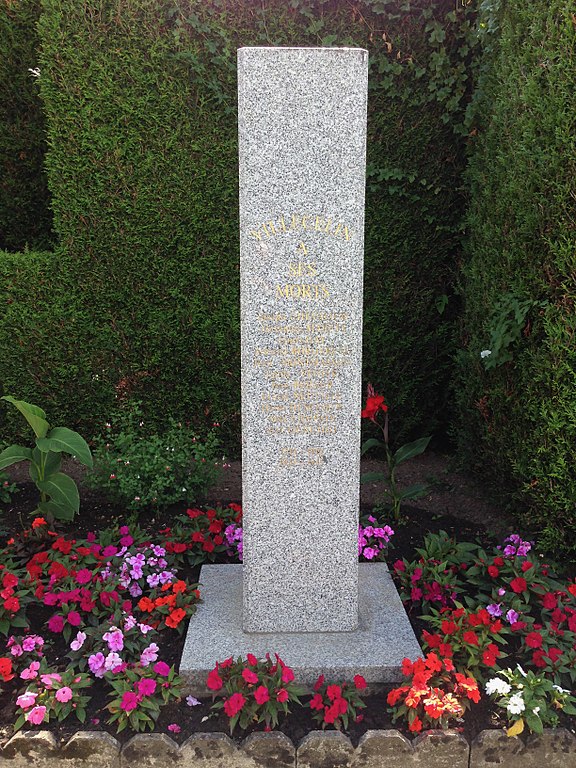 Oorlogsmonument Villecelin #1