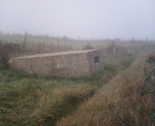 Pillbox FW3/22 South Fambridge