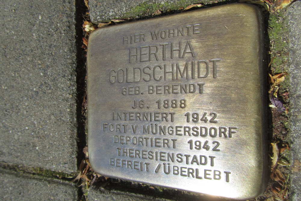 Stolperstein Theodor-Heuss-Ring 9 #1