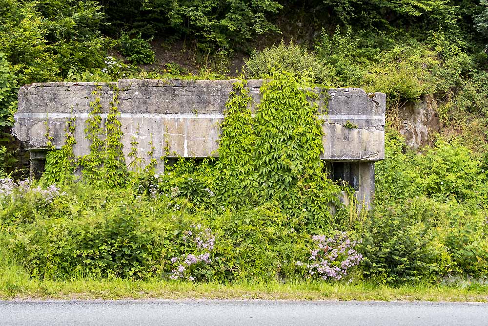 Maginotlinie - Bunker Les Hautes-Rivires #2