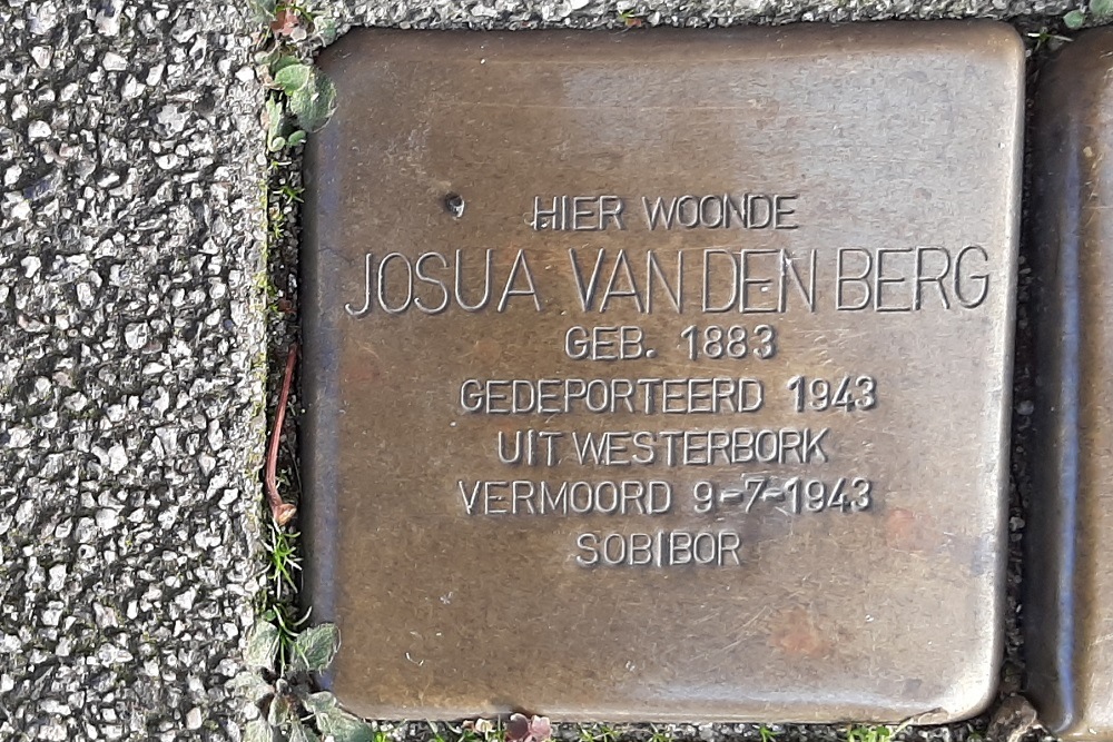 Stolpersteine Bergsingel 226b #2