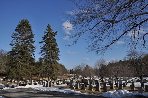 Oorlogsgraf van het Gemenebest Blossom Hill Cemetery #1