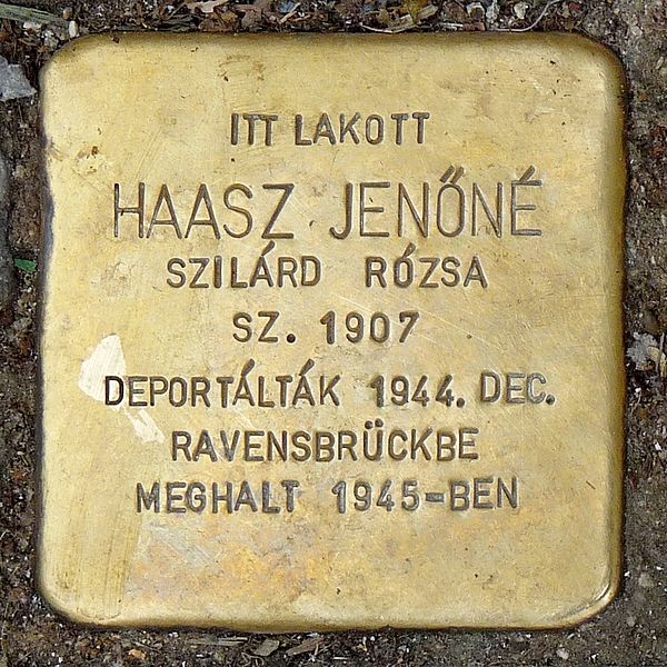 Stolpersteine Rkczi t 56 #2