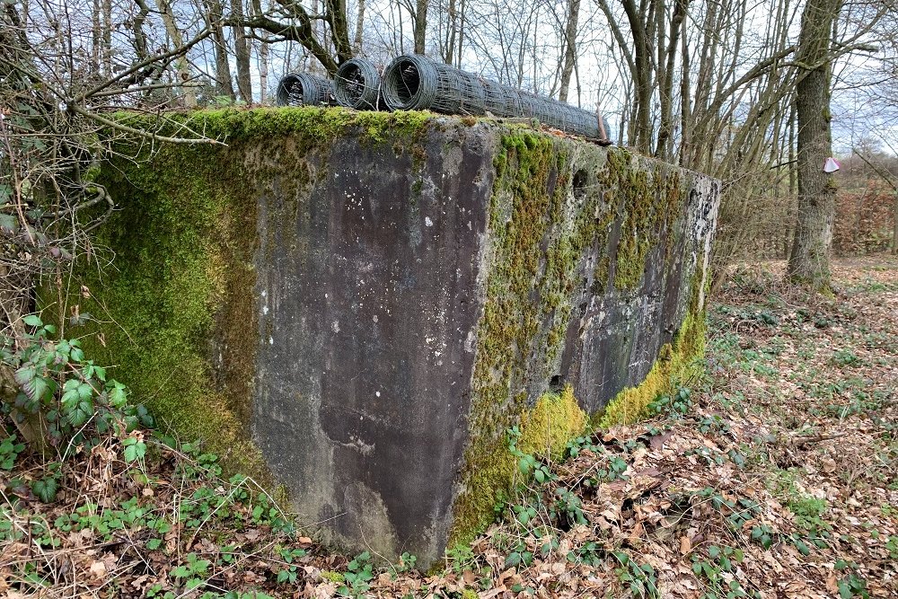 Bunker D - Position Avancée Malmedy #2