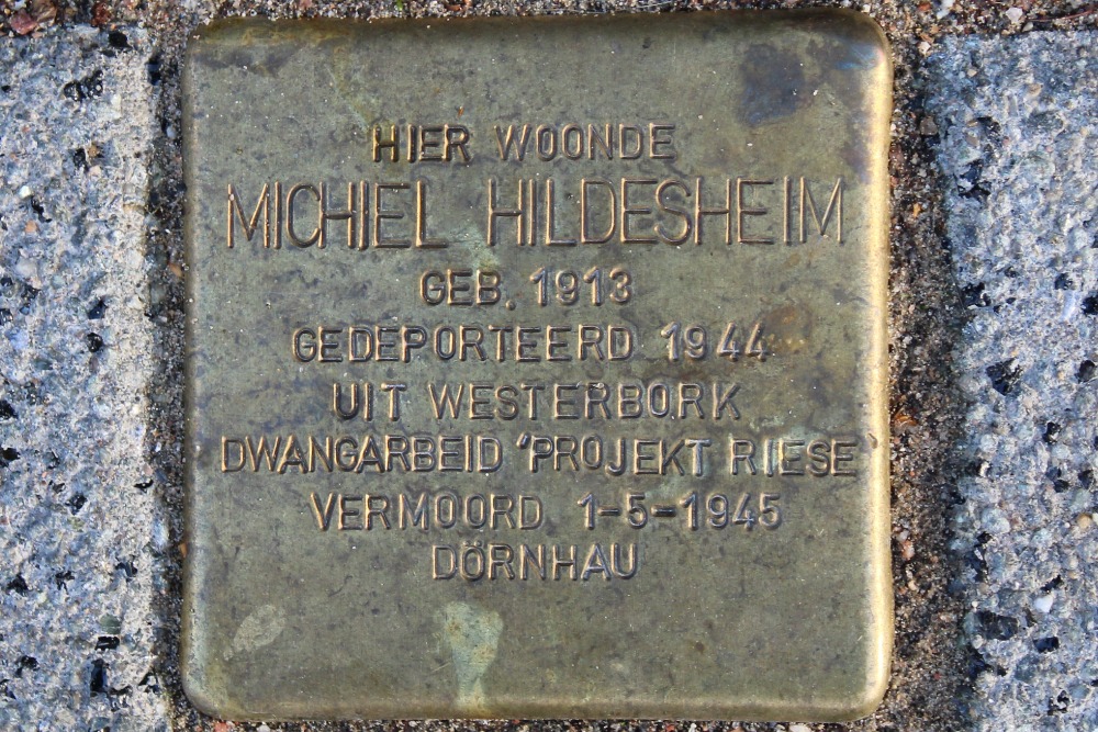 Stumbling Stone Koningin Wilhelminalaan 399
