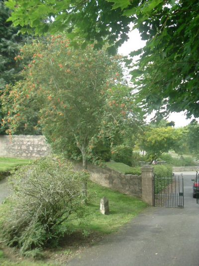 Commonwealth War Graves Tough Parish Churchyard