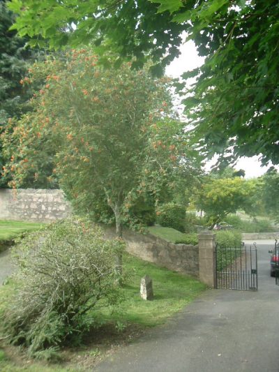 Oorlogsgraven van het Gemenebest Tough Parish Churchyard