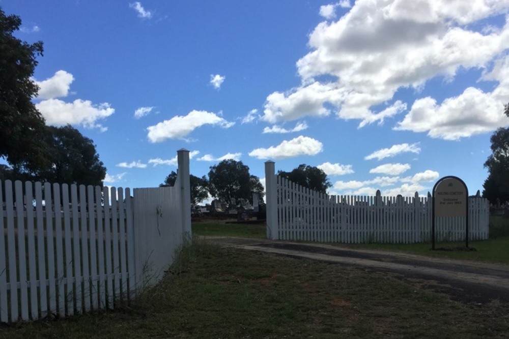 Commonwealth War Grave Molong Cemetery #1