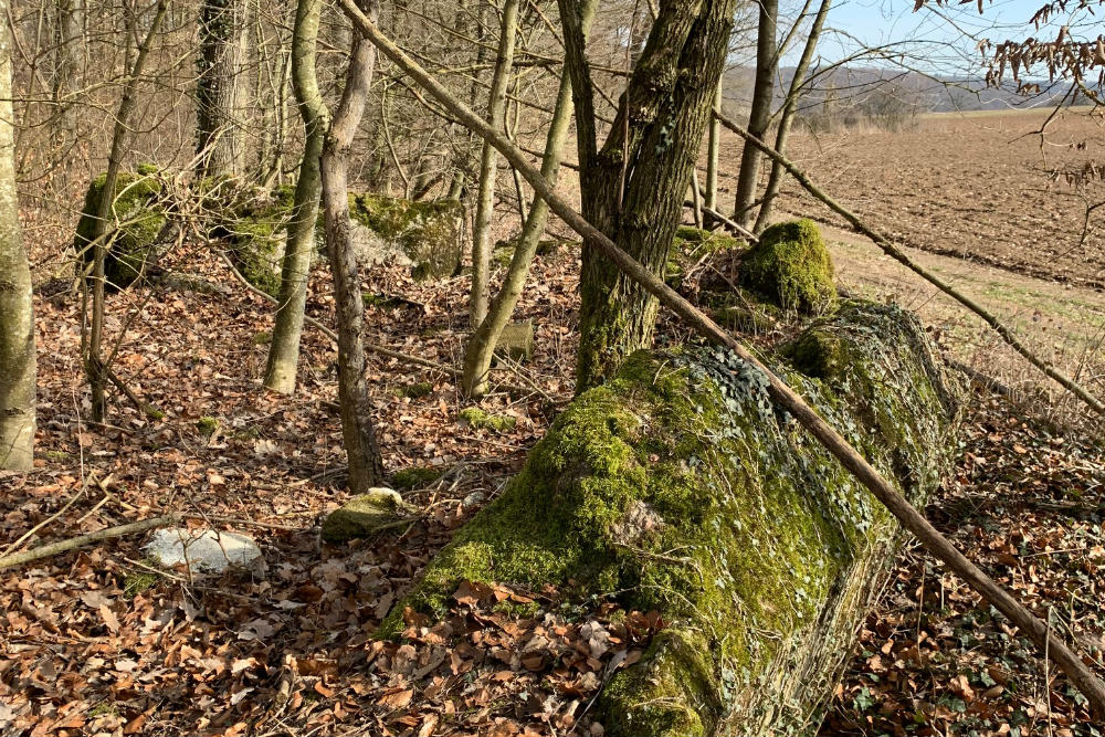 Neckar-Enz-Stellung - Panzerwerk 012