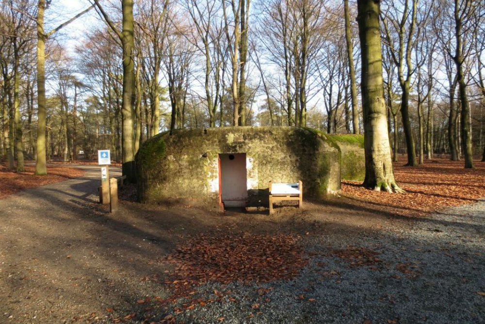 Stellung Antwerpen - Bunkers #1