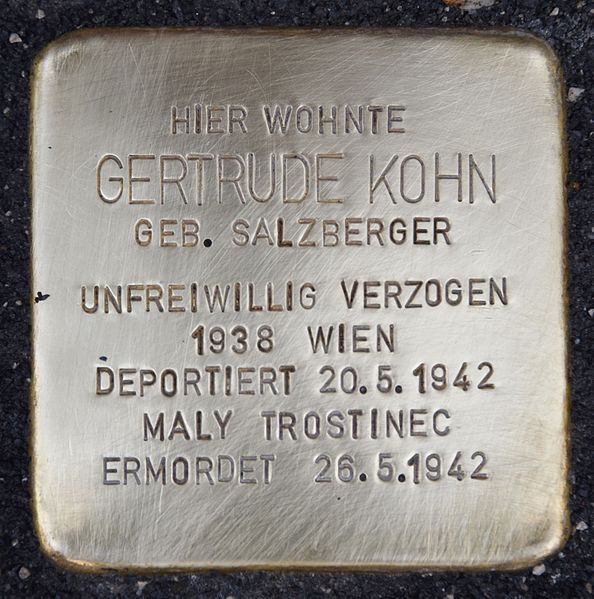 Stolpersteine Strauchergasse 19 #1