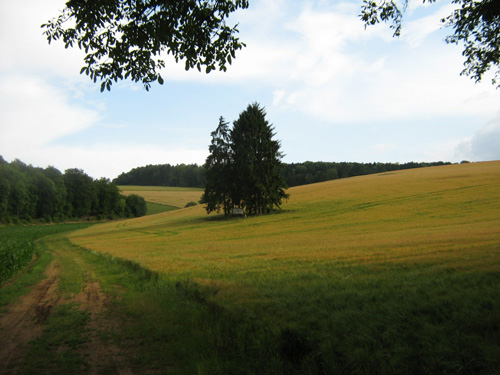 Locatie Duitse Strafkamp Flabas #2