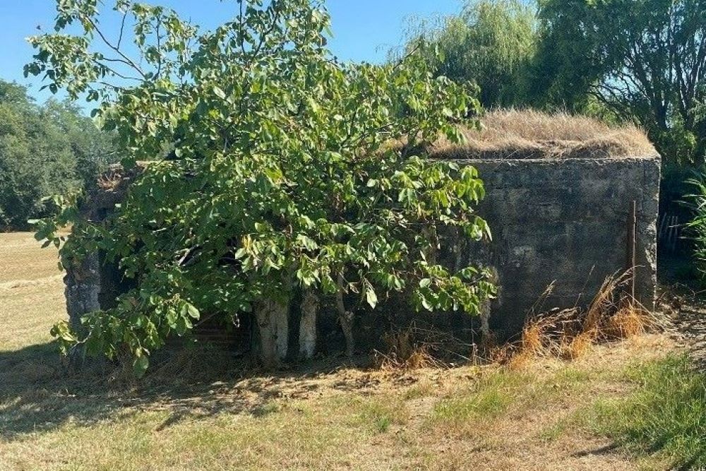 German Bunker Kaserne 2 Herzog Albrecht / Hackney Villa #1