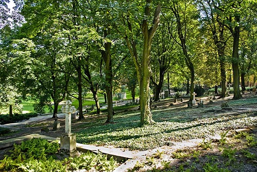 Graven Poolse Oorlogsveteranen #1