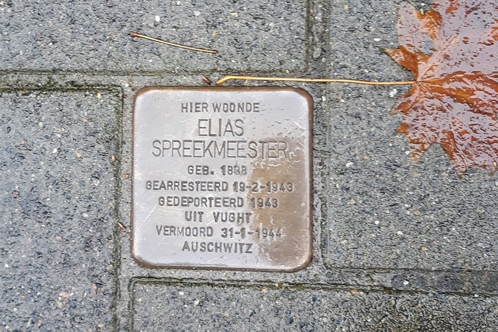 Stolperstein Danie Theronstraat 29