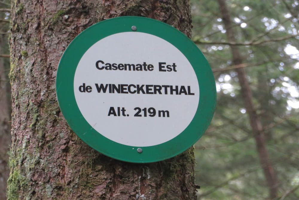 Maginot Line - Casemate East Wineckerthal #5