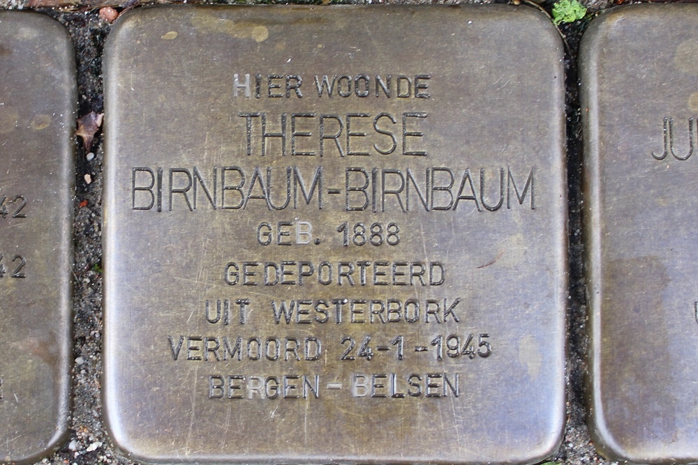 Stolpersteine Johannes Vermeerstraat 18 #3