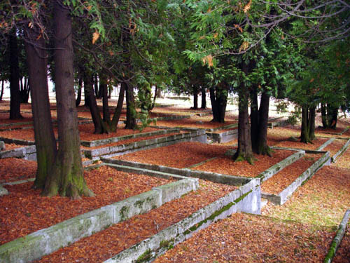 Soviet War Cemetery Olchowce (Sanok) #3
