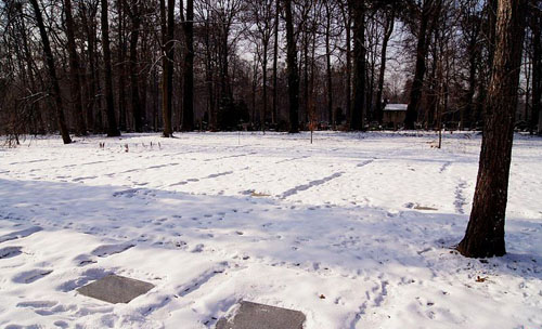 Soviet War Cemetery Pszczyna #1