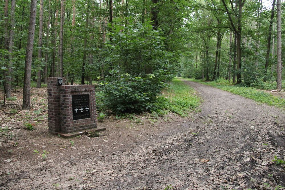 Memorial Y-29 Zutendaal Air Base #5