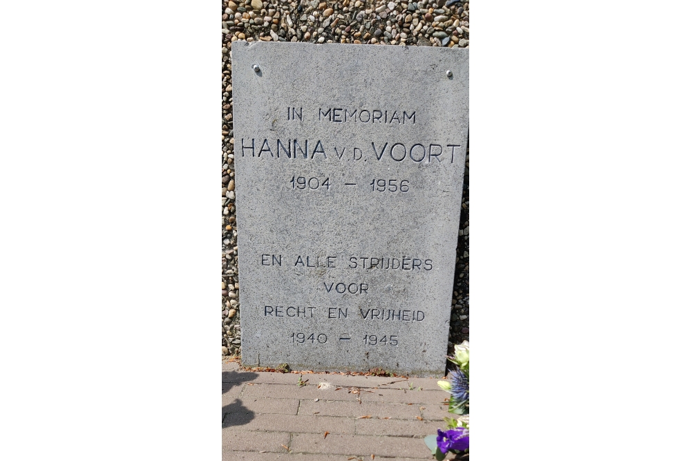 De Kinderen van Hanna van de Voort #2