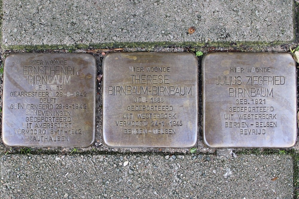 Stolpersteine Johannes Vermeerstraat 18 #1