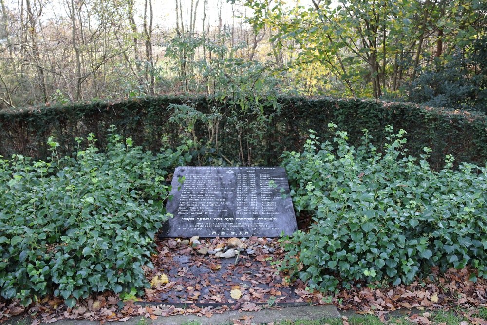 Monument Joodse Slachtoffers Algemene Begraafplaats Bergen #1