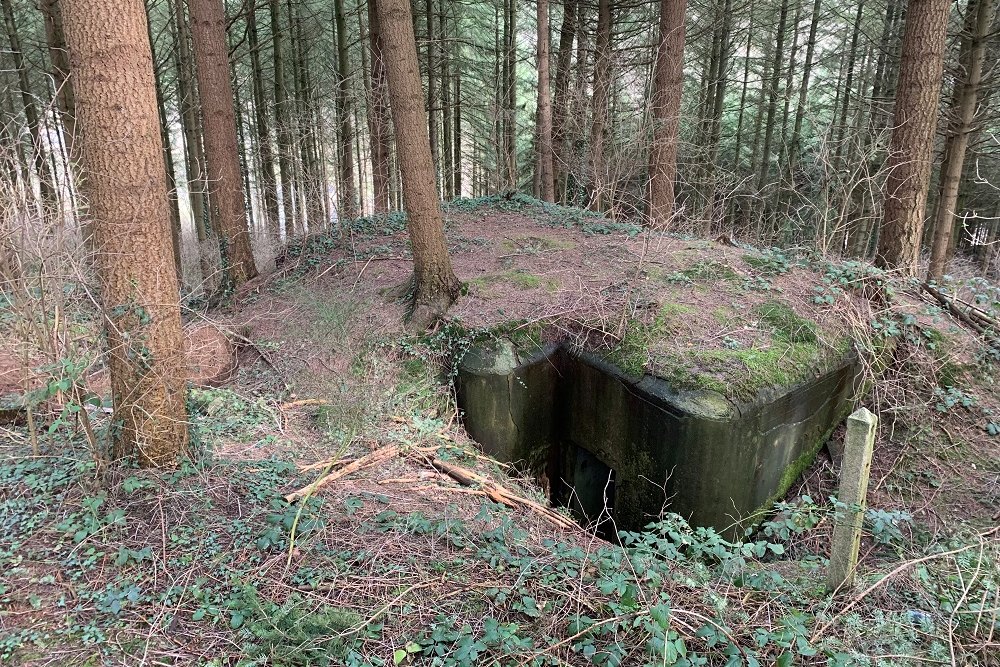 Bunker BV 9 Jevoumont #2