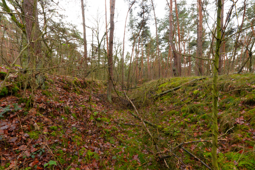 German Anti-Tankditch Near Ringstand 80 #1