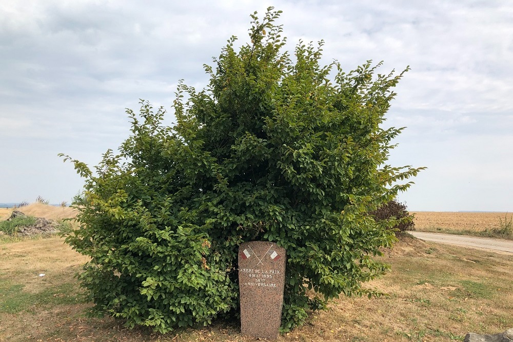 Vrijheidsboom Hucqueliers #1