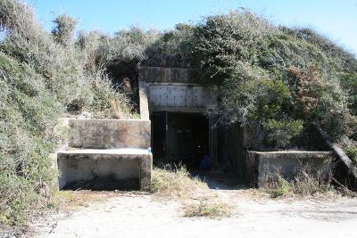 Battery 234 #5