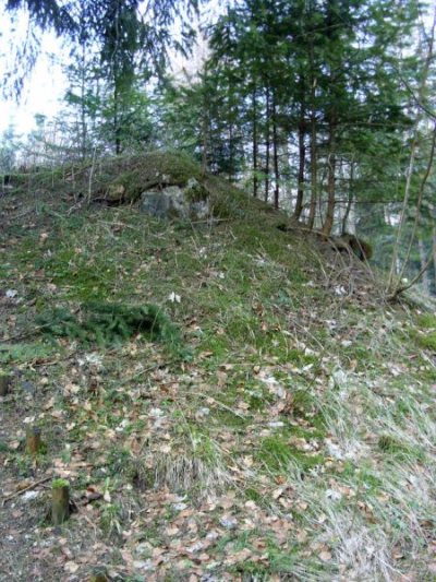 Westwall - Restanten Bunkers Schneifel #5