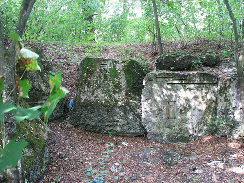 Stalin Line - Remains Casemate No. 453