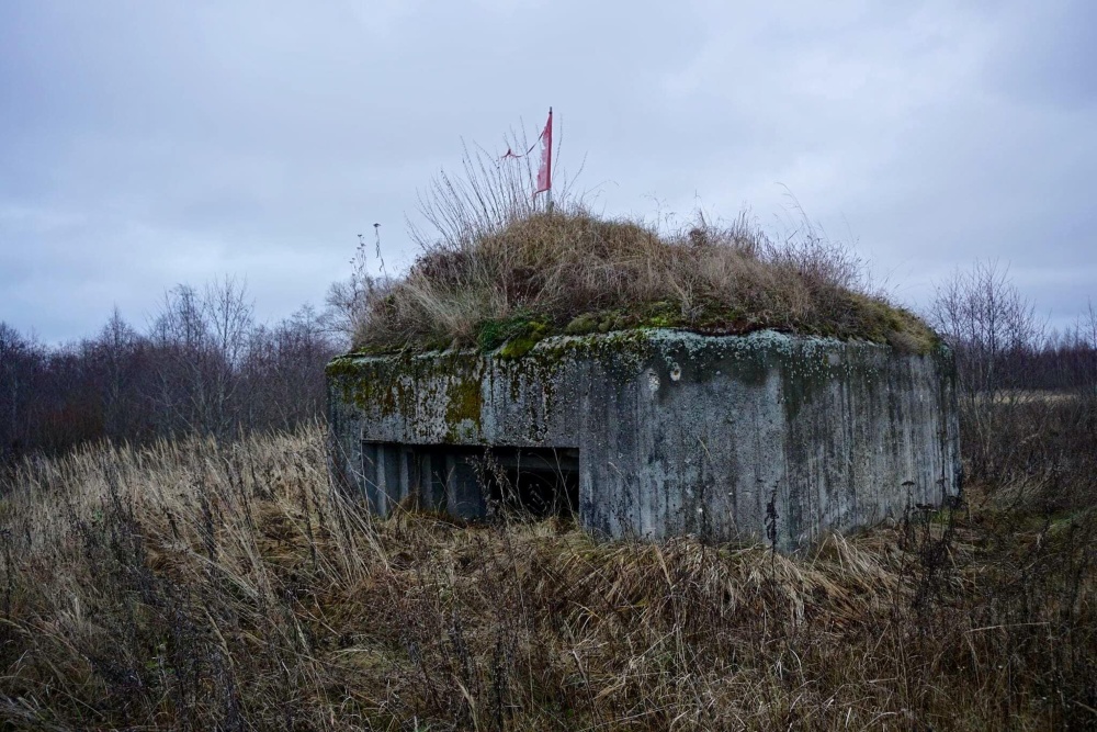 Sovjet Artilleriebunker Maloye Sirkovo #1