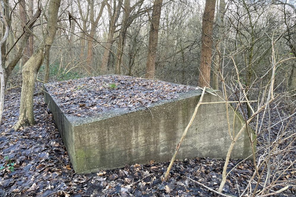 Group Shelter Type 1918/I Velserbroek #2