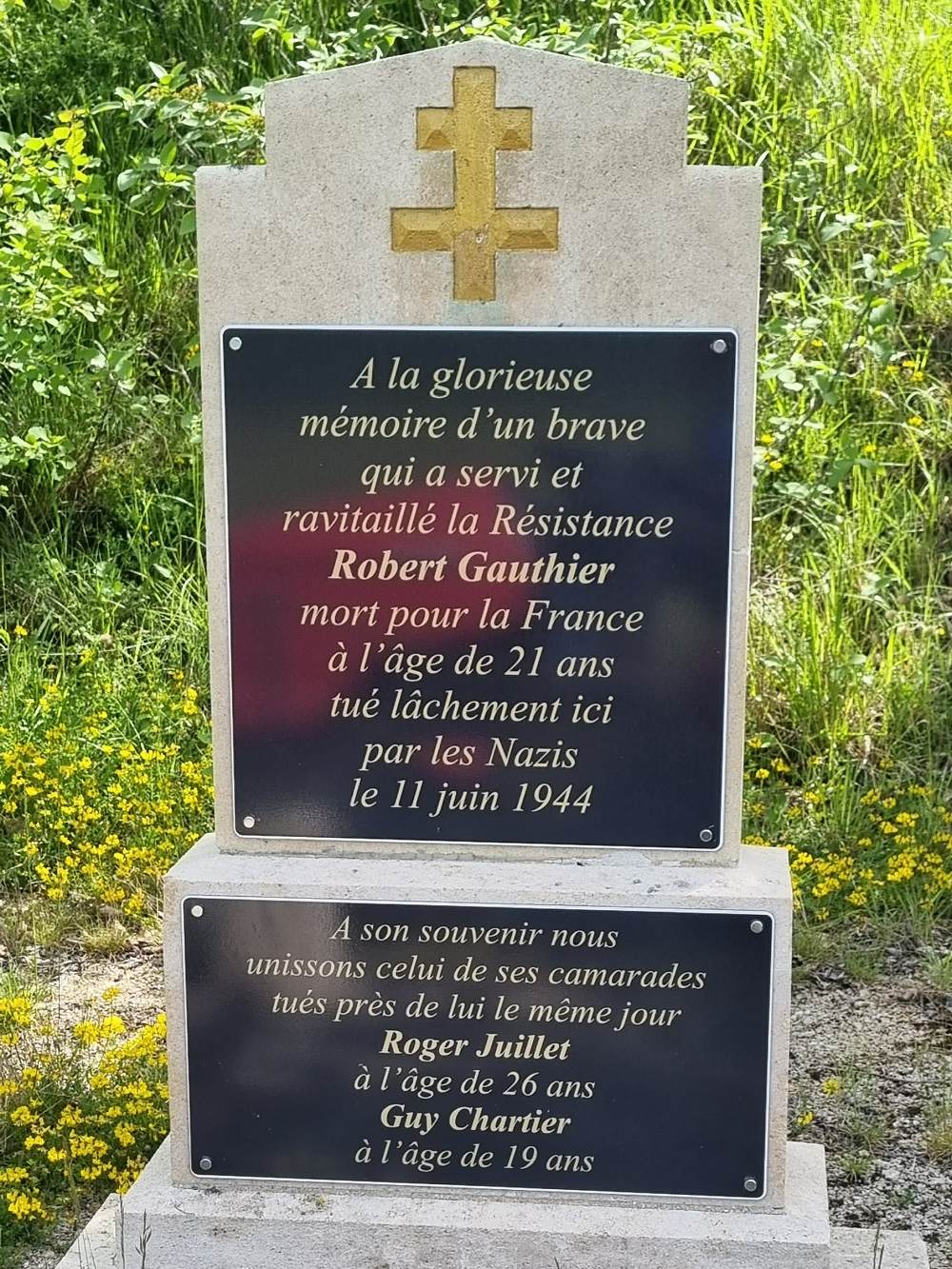 Monument Verzetsstrijders Bourgondi #1